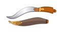 Indian style weapon Ã¢â¬ËBichwaÃ¢â¬â¢ Knife, It is a vintage Maharashtrian weapon.